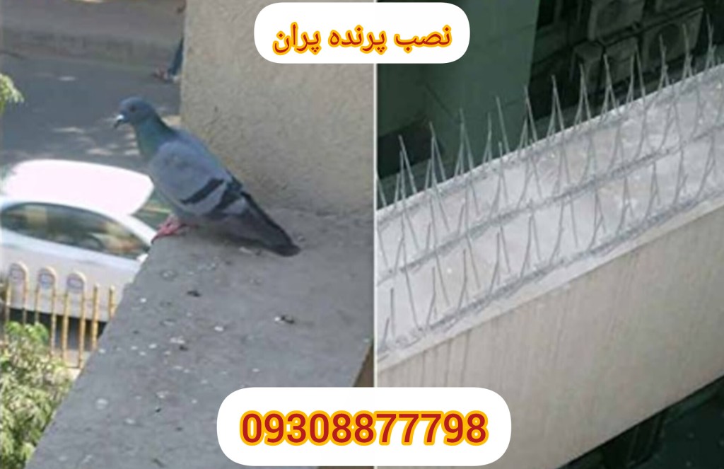 قبل و بعد نصب پرنده پران