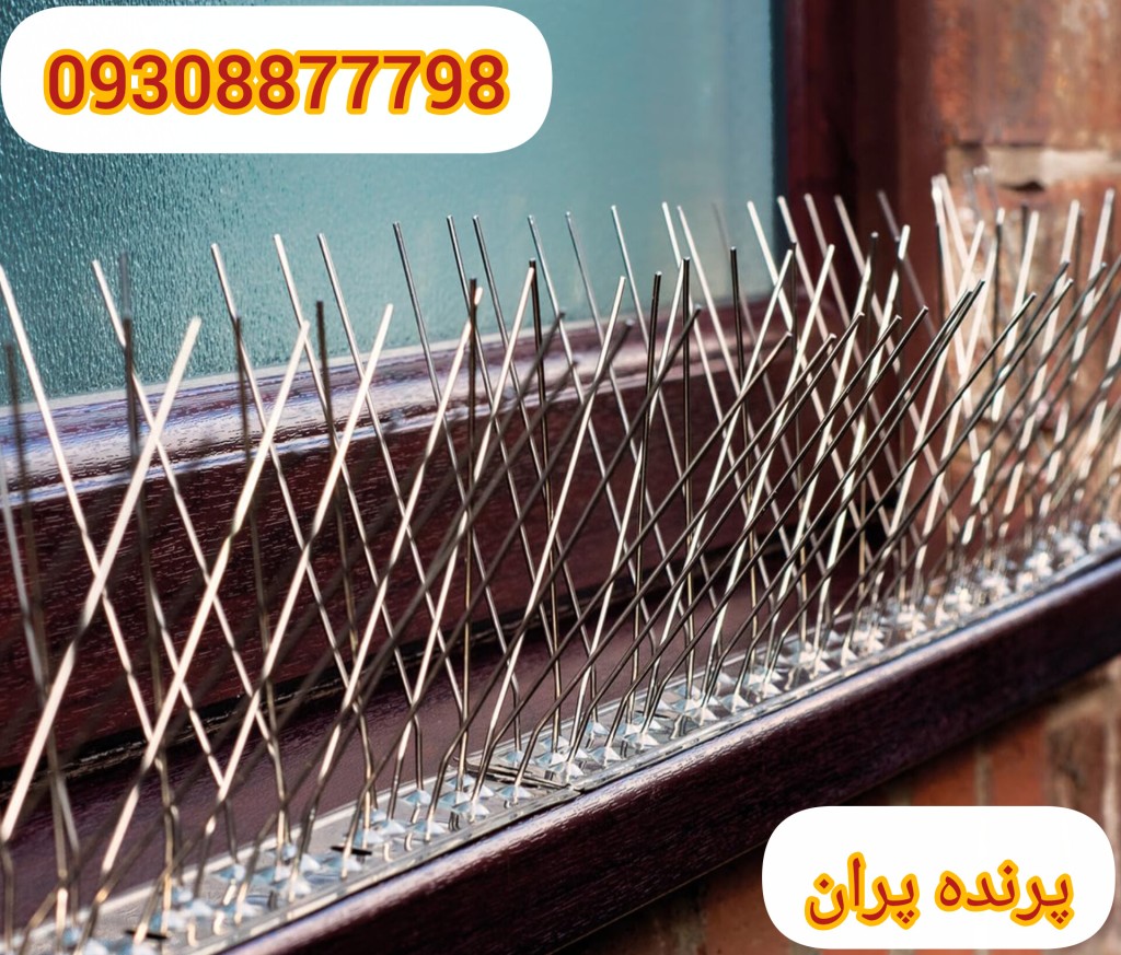 پرنده پران فلزی با شاخک