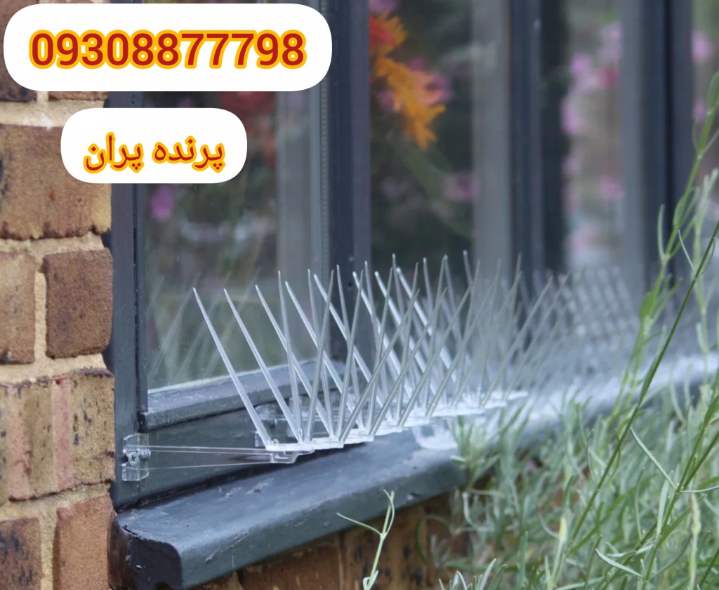 نصب کبوتر پران لبه پنجره ساختمان