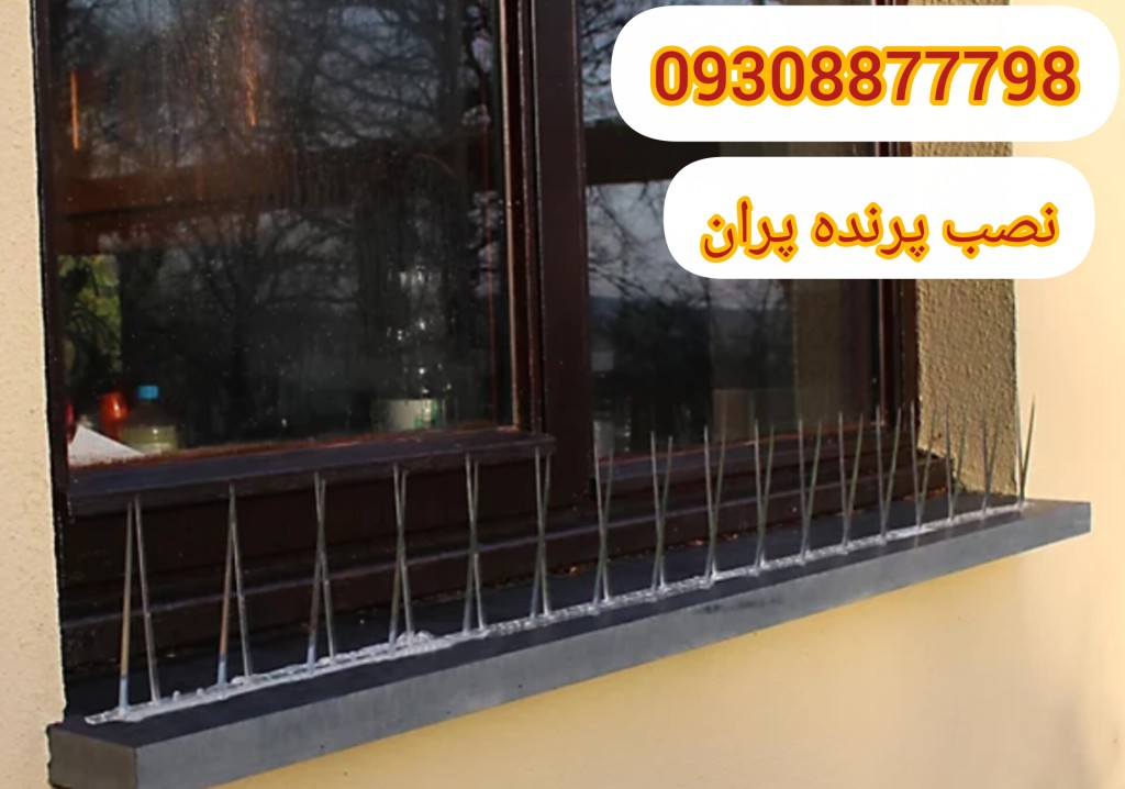 تصویر بعد از نصب کبوتر پران