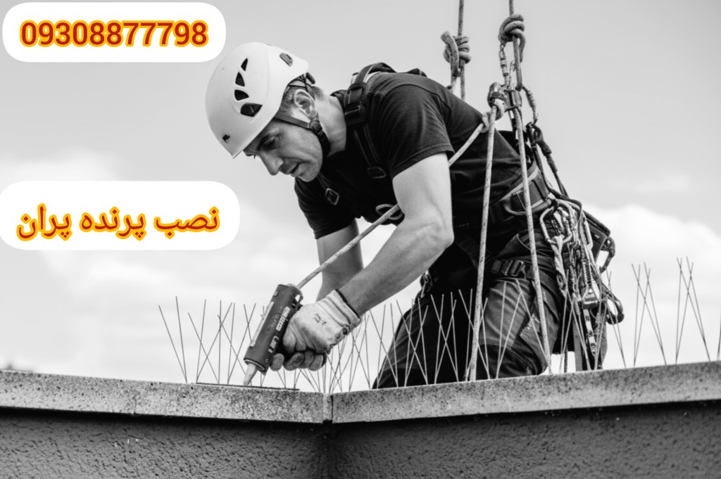 نصب کبوتر پران