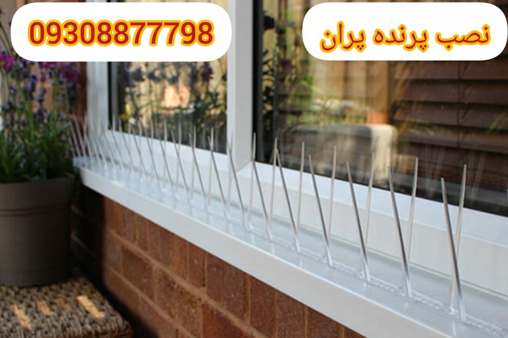 فروش و نصب کبوتر پران