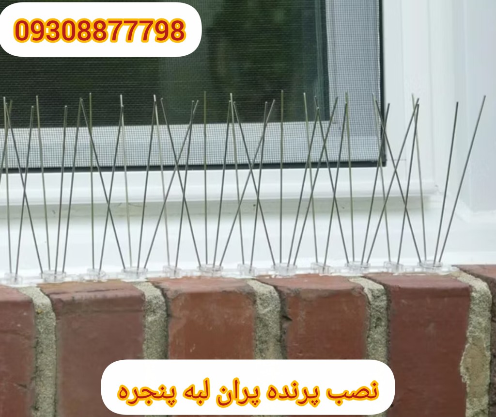 دفع کبوتر با پرنده پران