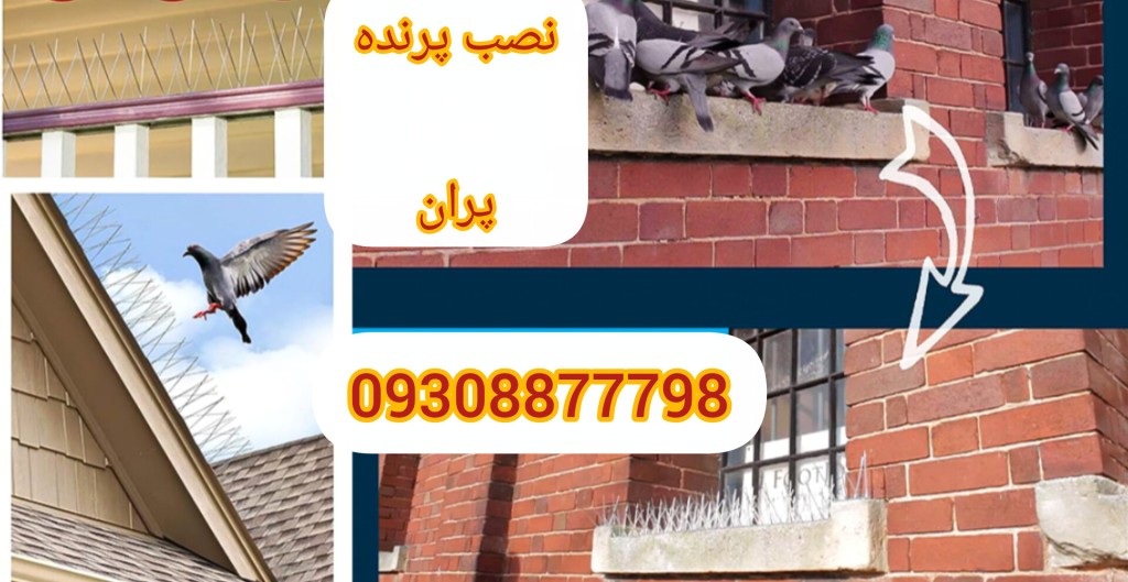 نصب پرنده پران در تهران و کرج