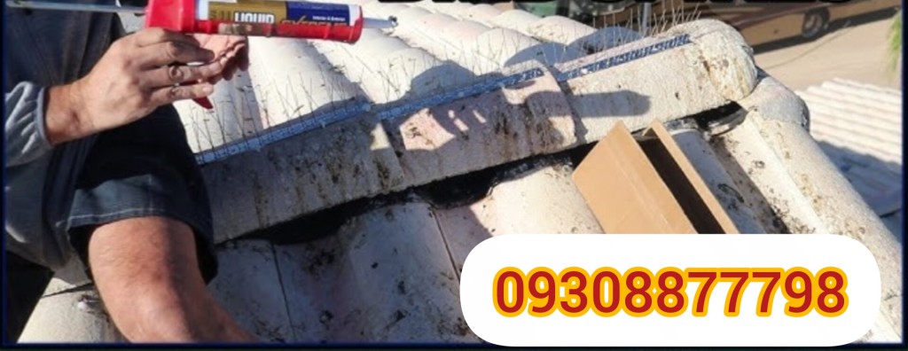 نصب پرنده پران روی شیروانی