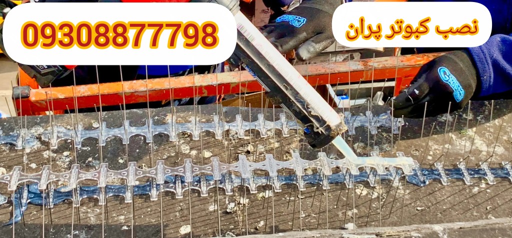 پرنده پران و کبوتر پران دستی