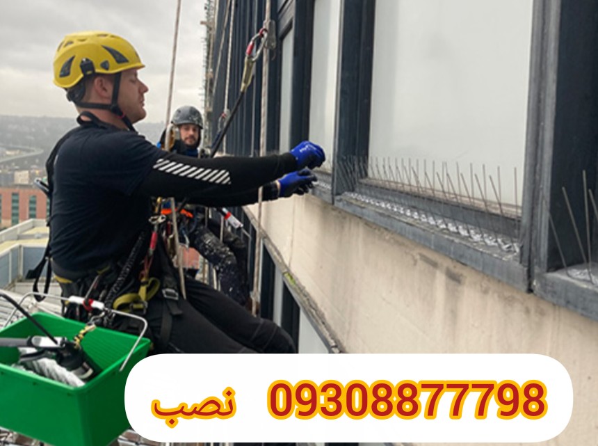 نصب پرنده پران روی لبه های ساختمان