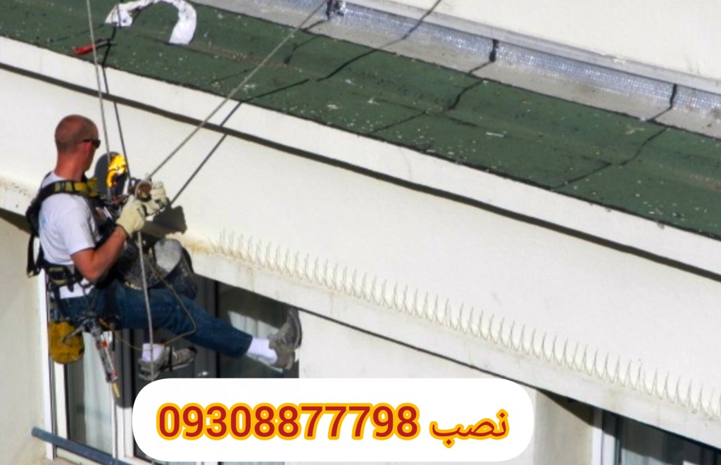 نصب پرنده پران با طناب یا بدون داربست