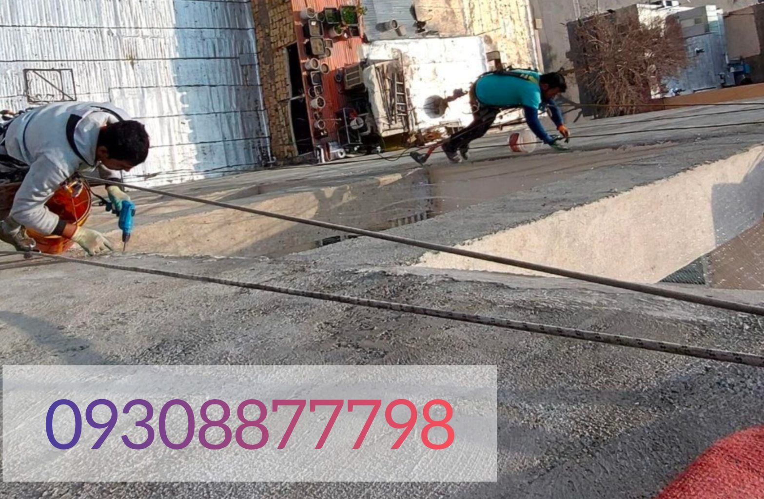 نصب توری مرغی